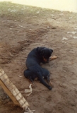 bp1991_07