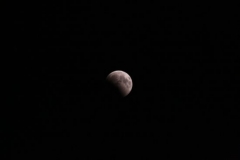 2008_08_16_7991