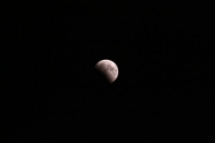 2008_08_16_7992