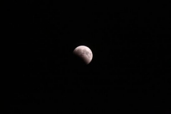 2008_08_16_7995