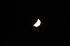 2008_08_16_8004