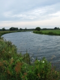 image1130