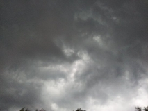 image017